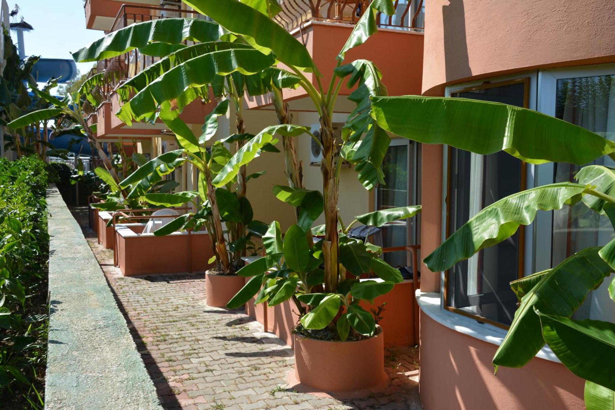 Yavuzhan Hotel Side Habitación foto
